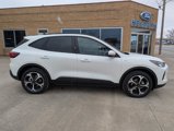 New 2025 Ford Escape ST-Line Elite w/ Tech Pack #2 image 6