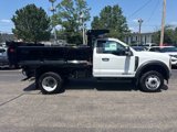 New 2025 Ford F550 4x4 Regular Cab Super Duty image 4
