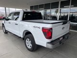New 2025 Ford F150 XL w/ Equipment Group 103A High image 4
