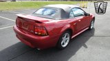 Used 2001 Ford Mustang Cobra image 5