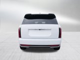 New 2026 Hyundai Palisade Calligraphy image 4