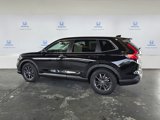 New 2026 Honda CR-V EX-L image 4