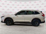 New 2025 Honda CR-V Sport image 2