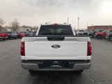 Used 2024 Ford F150 XLT image 4