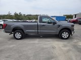 New 2025 Ford F150 XL w/ Equipment Group 103A High image 4