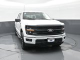New 2025 Ford F150 XLT w/ Equipment Group 302A MID image 3