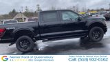 New 2025 Ford F150 STX w/ STX Black Appearance Package image 4