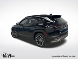 Used 2025 Hyundai Tucson Limited image 4