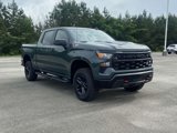 New 2025 Chevrolet Silverado 1500 Custom Trail Boss image 5