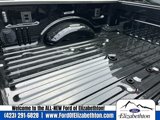 New 2025 Ford F250 4x4 Crew Cab Super Duty image 4