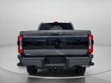 New 2025 Ford F250 Platinum image 4