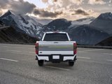 New 2025 Ford F250 Platinum image 5