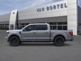New 2025 Ford F150 XLT image 3