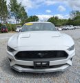 Used 2019 Ford Mustang Coupe image 6