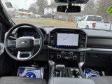 New 2025 Ford F150 XLT w/ Equipment Group 302A MID image 5