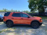 New 2026 Honda Passport TrailSport image 2