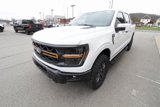New 2025 Ford F150 Tremor image 3