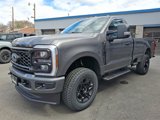 New 2025 Ford F250 XL image 2