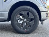 New 2025 Ford F150 STX w/ Equipment Group 200A image 3