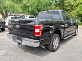 Used 2019 Ford F150 XLT w/ Equipment Group 302A Luxury image 3