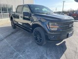 New 2025 Ford F150 XLT image 3