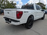 New 2025 Ford F150 Platinum image 4