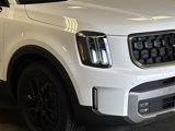 Used 2023 Kia Telluride SX Prestige X-Pro image 3