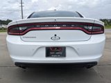 New 2023 Dodge Charger Police w/ Street Appearance Group image 5