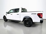 New 2025 Ford F150 STX image 4