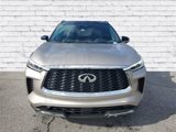Certified 2022 INFINITI QX60 Autograph w/ Cargo Package image 2