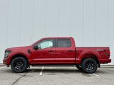 New 2025 Ford F150 STX image 2