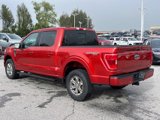 Certified 2023 Ford F150 XLT w/ Equipment Group 302A High image 4