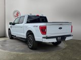 Used 2023 Ford F150 XLT w/ Equipment Group 302A High image 5