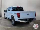 Used 2024 Ford F150 XLT w/ Equipment Group 302A MID image 3