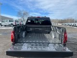 New 2025 Ford F150 XLT w/ Equipment Group 302A MID image 5