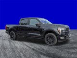 New 2025 Ford F150 Platinum image 2