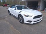 Used 2015 Ford Mustang Convertible w/ Equipment Group 051A image 3