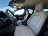 Used 2020 Ford Escape SE image 4