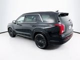 New 2025 Hyundai Palisade Calligraphy image 5
