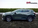 Used 2024 Lexus NX 250 FWD w/ Premium Package image 4