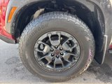 Used 2023 Nissan Frontier PRO-4X w/ Pro-4X Premium Package image 4