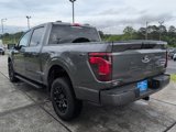 New 2025 Ford F150 XLT w/ Equipment Group 301A Standard image 5