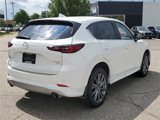 Certified 2025 MAZDA CX-5 Signature image 4