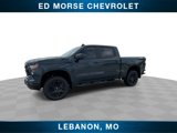 New 2025 Chevrolet Silverado 1500 Custom Trail Boss w/ Turbomax Blackout Package image 4