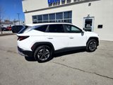 Used 2025 Hyundai Tucson SEL image 5