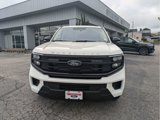 New 2025 Ford Expedition Active image 3