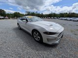 Used 2019 Ford Mustang Coupe image 5