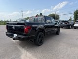 New 2025 Ford F150 Platinum image 6