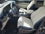 New 2025 Kia Carnival SX image 5