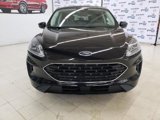 Certified 2022 Ford Escape SE w/ SE Sport Appearance Package image 2